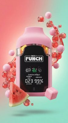PACK A PUNCH WATERMELON BUBBLEGUM 
